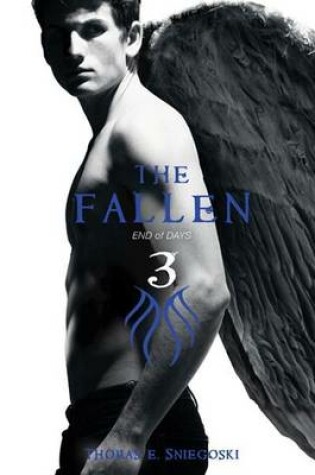 Cover of Fallen #3: End of Days
