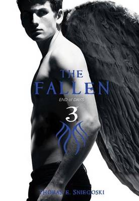 Book cover for Fallen #3: End of Days