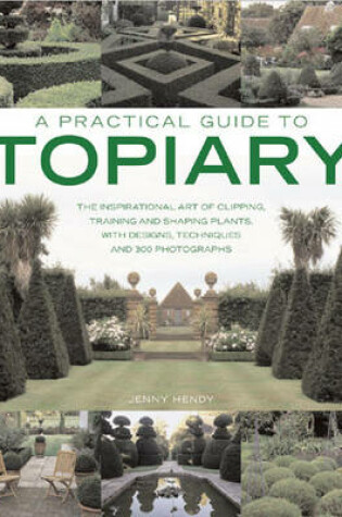 Cover of A Practical Guide to Topiary