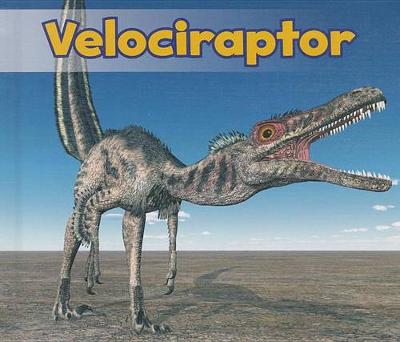 Book cover for Velociraptor (All About Dinosaurs)