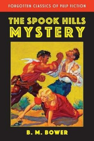 Cover of The Spook Hills Mystery