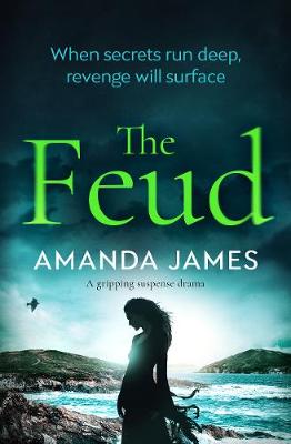 Book cover for The Feud