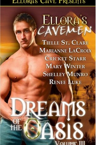 Cover of Dreams of the Oasis Volume III
