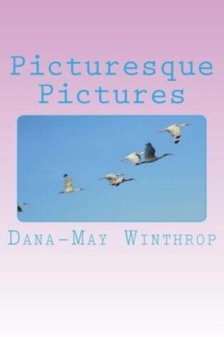 Cover of Picturesque Pictures