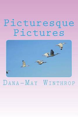 Book cover for Picturesque Pictures