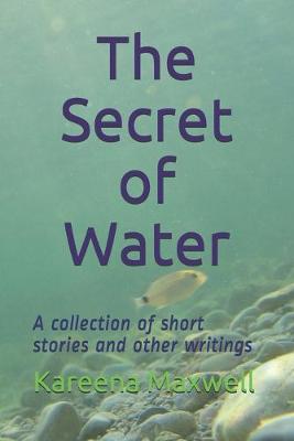 Book cover for The Secret of Water