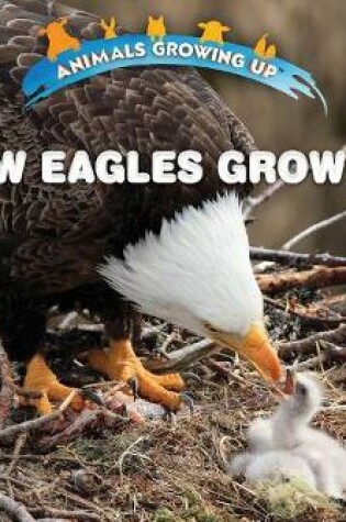 Cover of How Eagles Grow Up