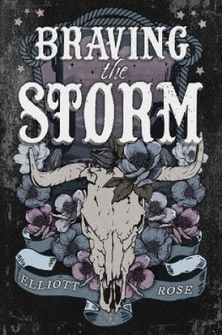 Cover of Braving The Storm