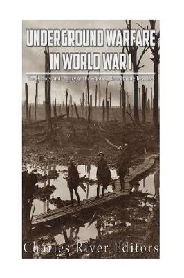 Book cover for Underground Warfare in World War I