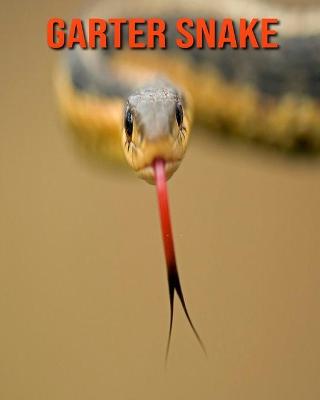 Book cover for Garter Snake