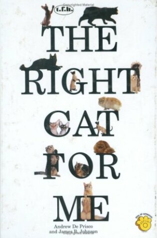Cover of Right Cat for Me