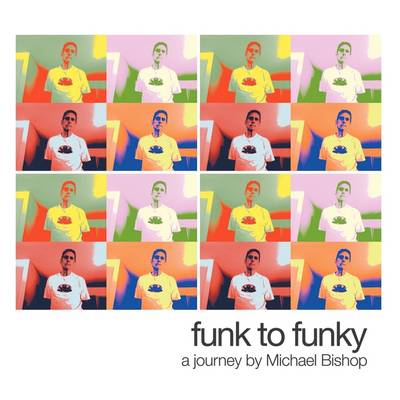 Book cover for Funk to Funky
