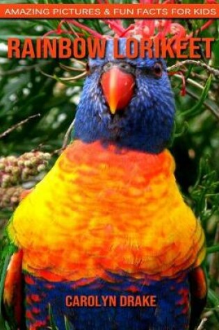 Cover of Rainbow lorikeet