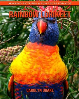 Book cover for Rainbow lorikeet