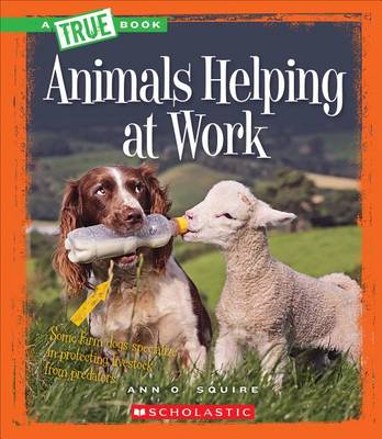 Book cover for Animals Helping at Work
