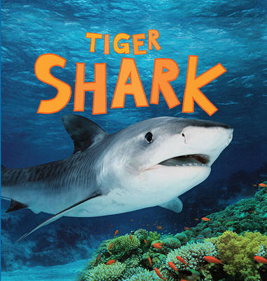 Book cover for Discover Sharks: Tiger Shark