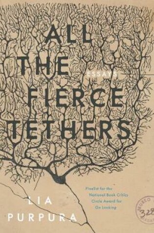 Cover of All the Fierce Tethers
