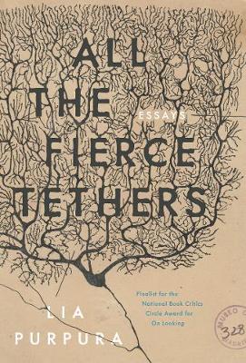 Book cover for All the Fierce Tethers