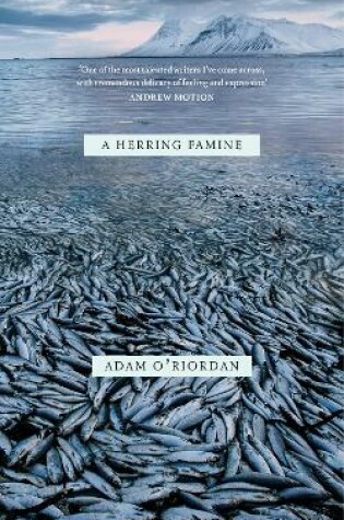 Cover of A Herring Famine