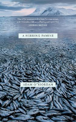 Book cover for A Herring Famine