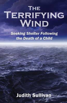 Book cover for The Terrifying Wind