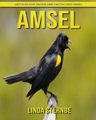 Book cover for Amsel