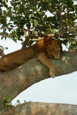 Book cover for Lion in a Tree in Uganda, Africa Journal