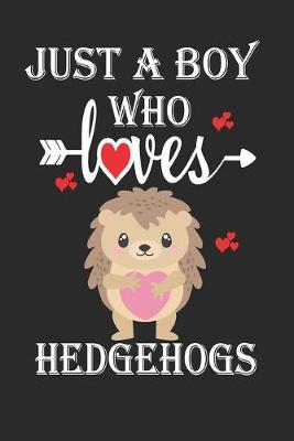 Book cover for Just a Boy Who Loves Hedgehogs
