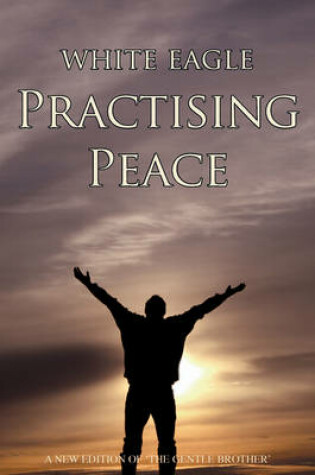 Cover of Practising Peace