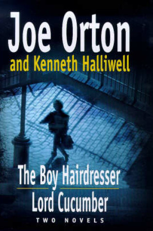 Cover of The Boy Hairdresser