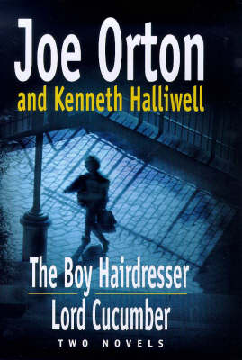 Book cover for The Boy Hairdresser
