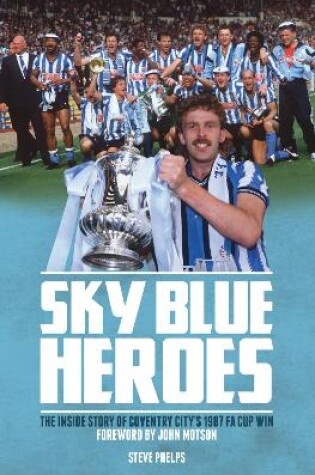 Cover of Sky Blue Heroes