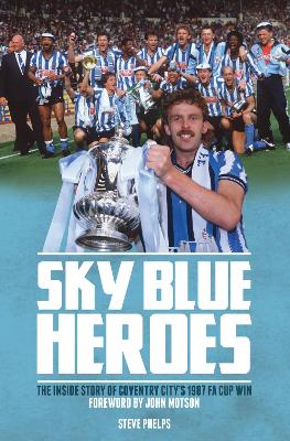 Book cover for Sky Blue Heroes