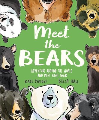 Book cover for Meet the Bears