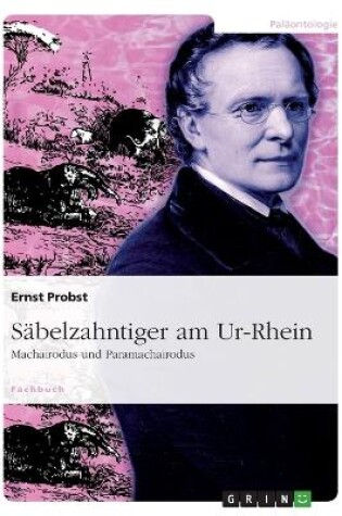 Cover of Säbelzahntiger am Ur-Rhein