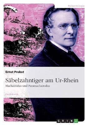 Book cover for Säbelzahntiger am Ur-Rhein