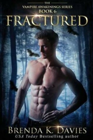 Cover of Fractured