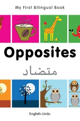 Cover of My First Bilingual Book -  Opposites (English-Urdu)