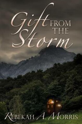 Cover of Gift from the Storm