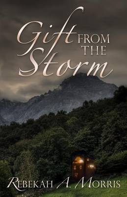 Book cover for Gift from the Storm