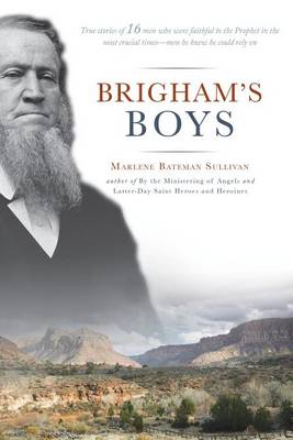 Book cover for Brigham's Boys