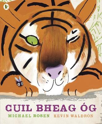 Book cover for Cuil Bheag Óg (Tiny Little Fly)