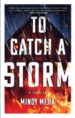 To Catch a Storm by 