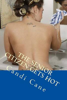Book cover for The Senior Citizen Gets Hot