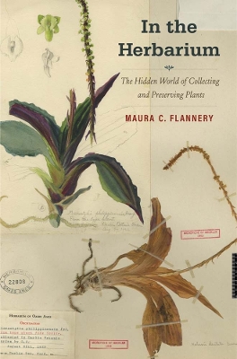 Book cover for In the Herbarium