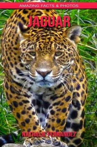 Cover of Jaguar