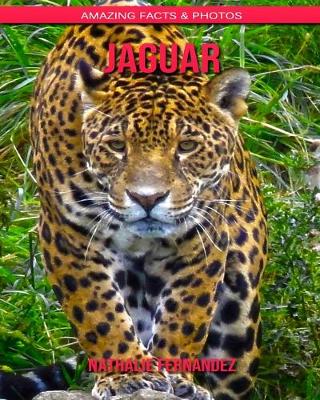 Book cover for Jaguar