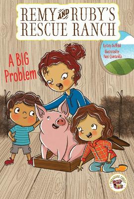 Book cover for A Big Problem