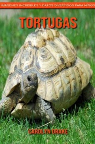 Cover of Tortugas