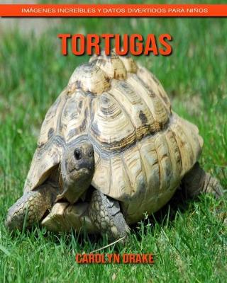 Book cover for Tortugas